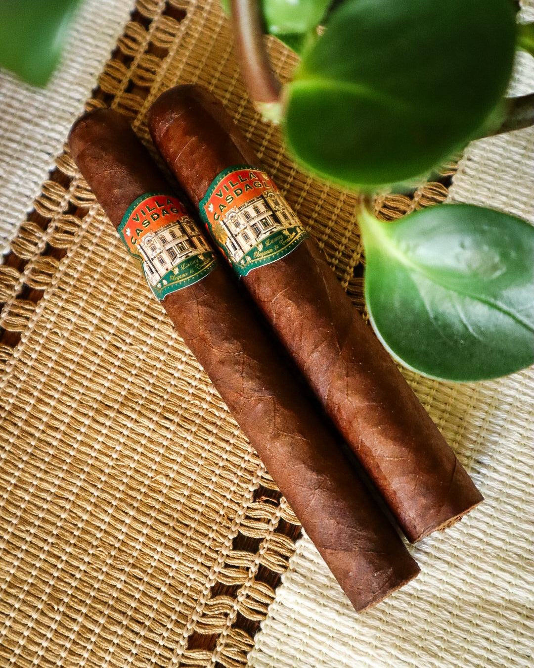 Casdagli Cigars Villa Casdagli