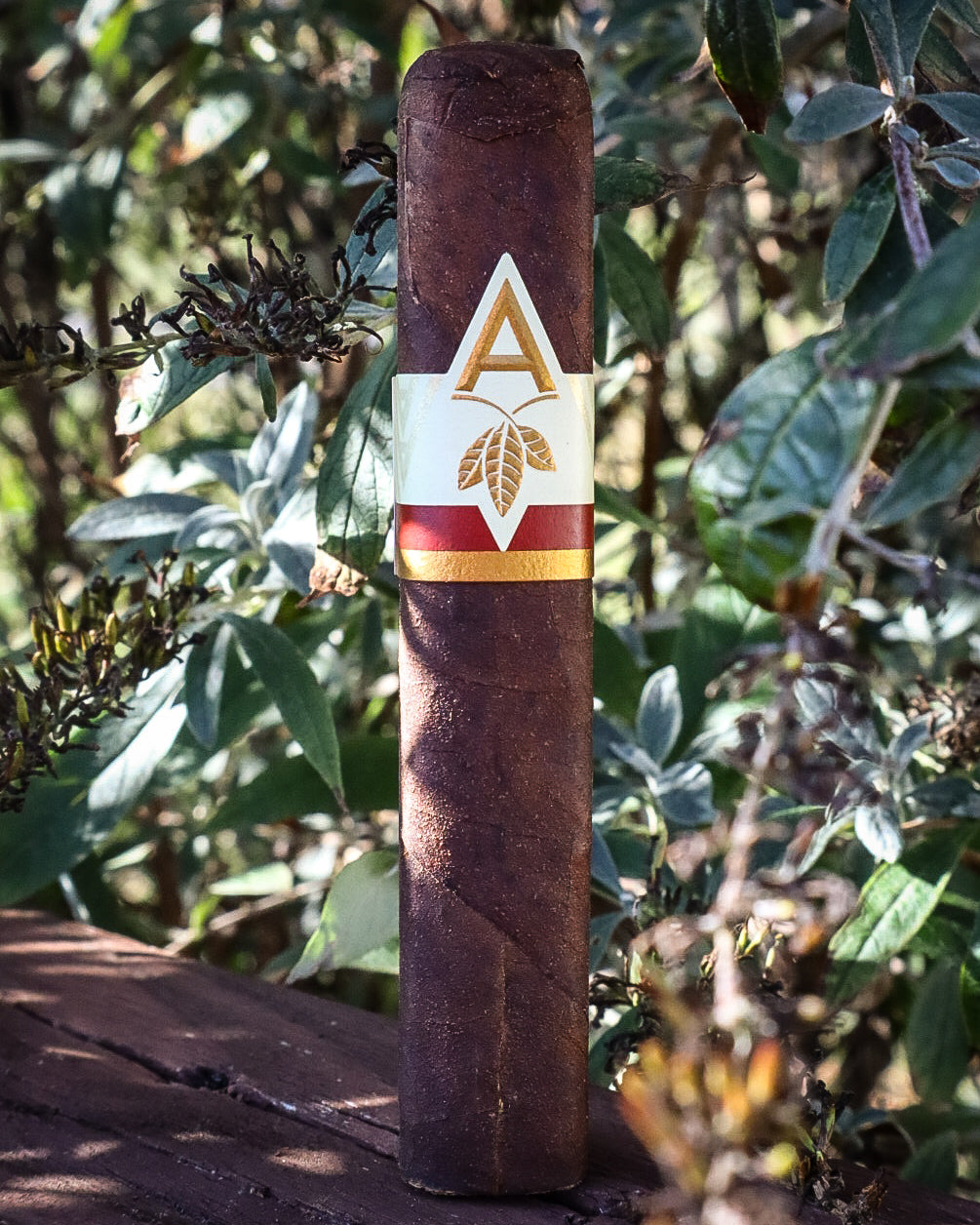 Artista Cigars Falu