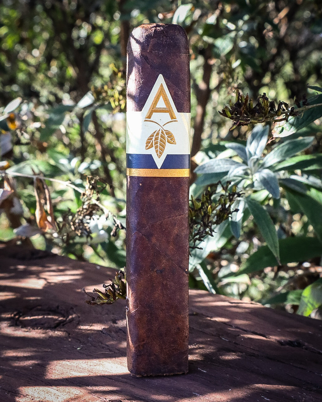 Artista Cigars Midnight