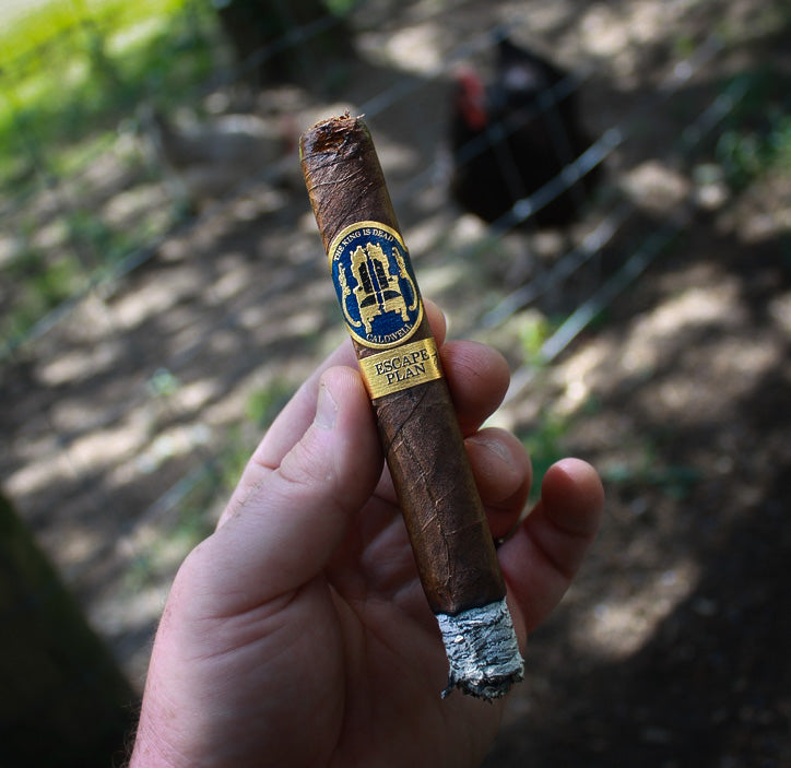 Barn Work Sessions: Caldwell Cigar Co The King is Dead Escape Plan Autopilot