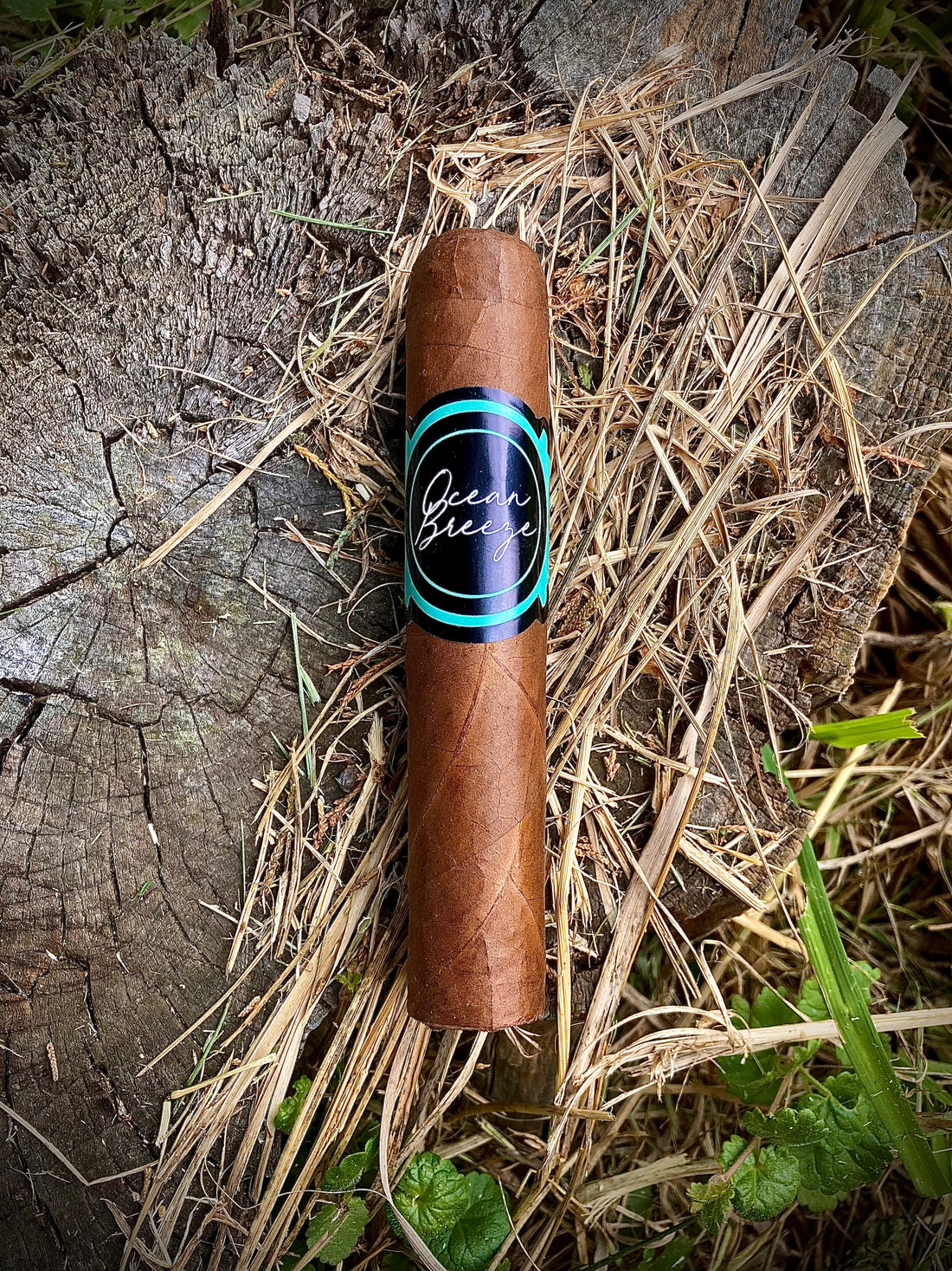 Spring Cleaning Sessions: Lampert Cigars Ocean Breeze