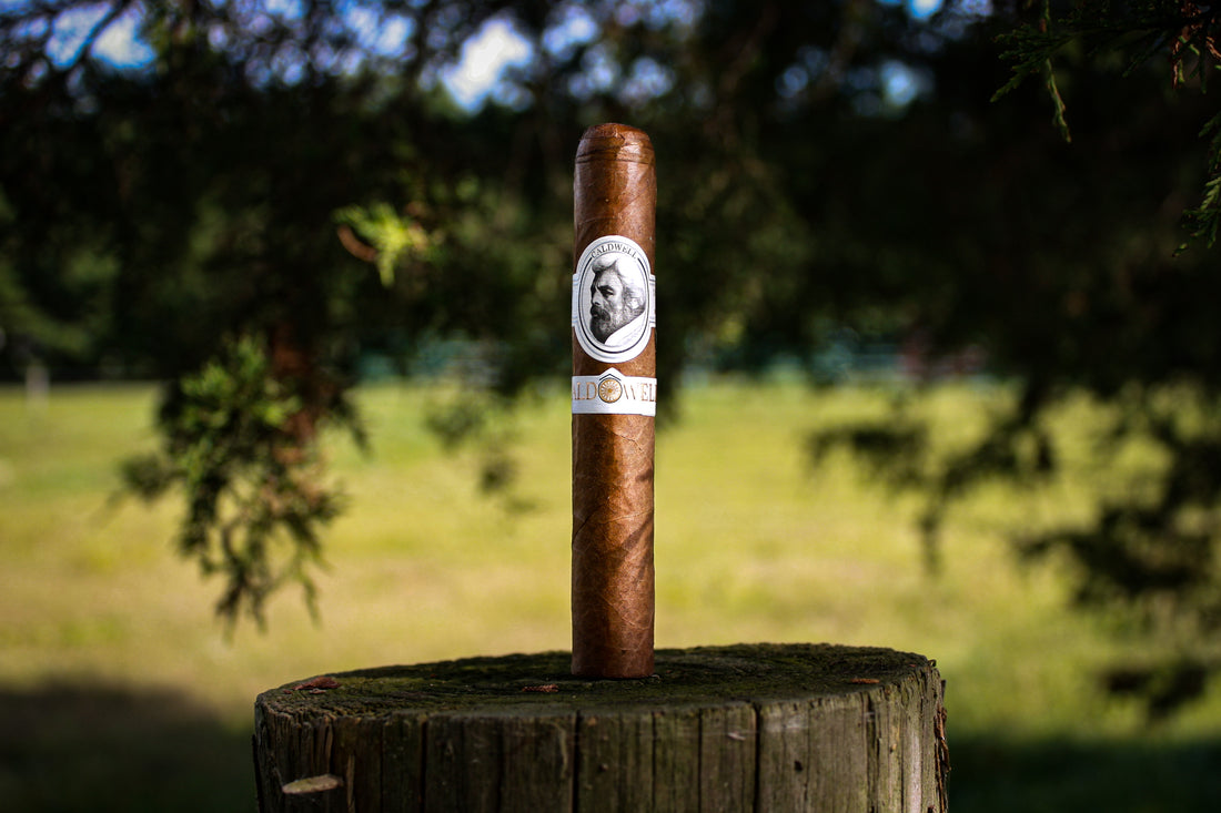 Caldwell Cigar Co. Crafted & Curated Anthénée Review