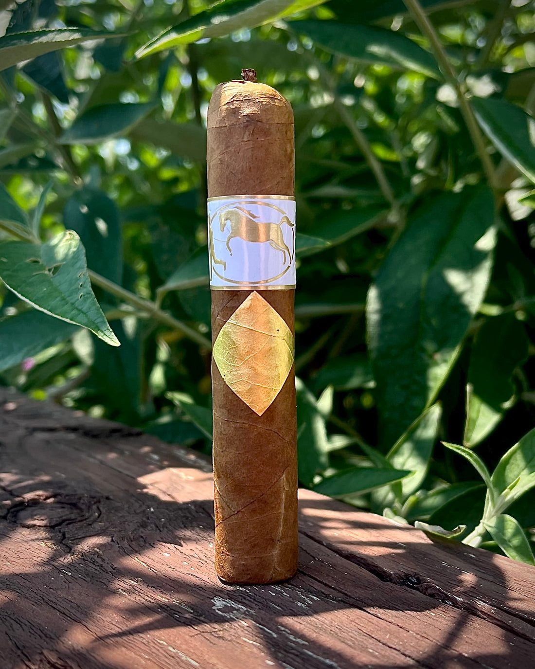 Cigar Review: Cavalier Geneve Cigars White Series Elegantes