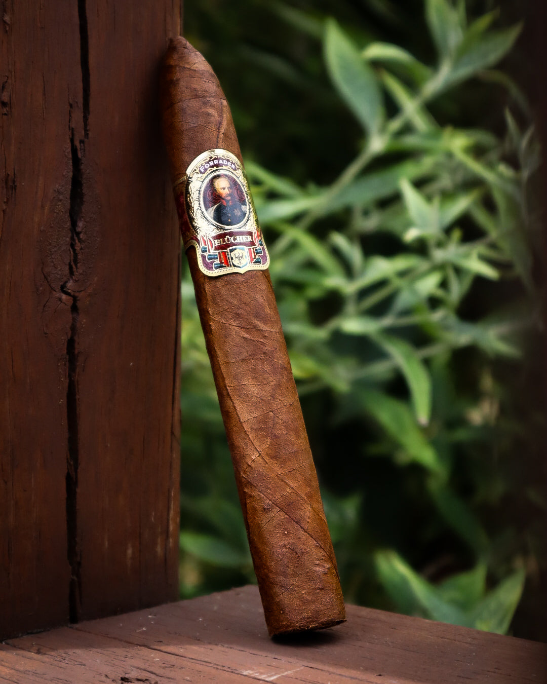 Cigar Review: Casdagli Cigars Brothers of the Sabre Forrader Piramide