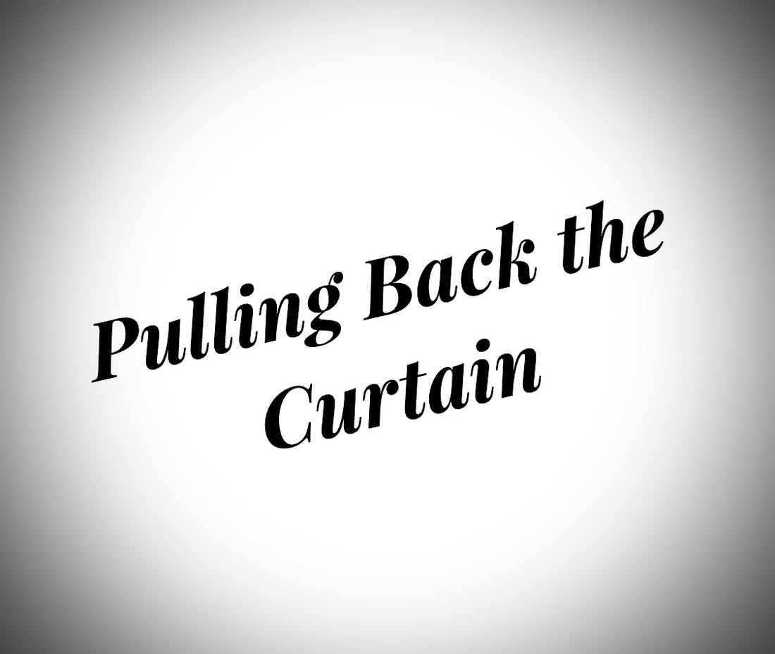 Pulling Back the Curtain: How it Started
