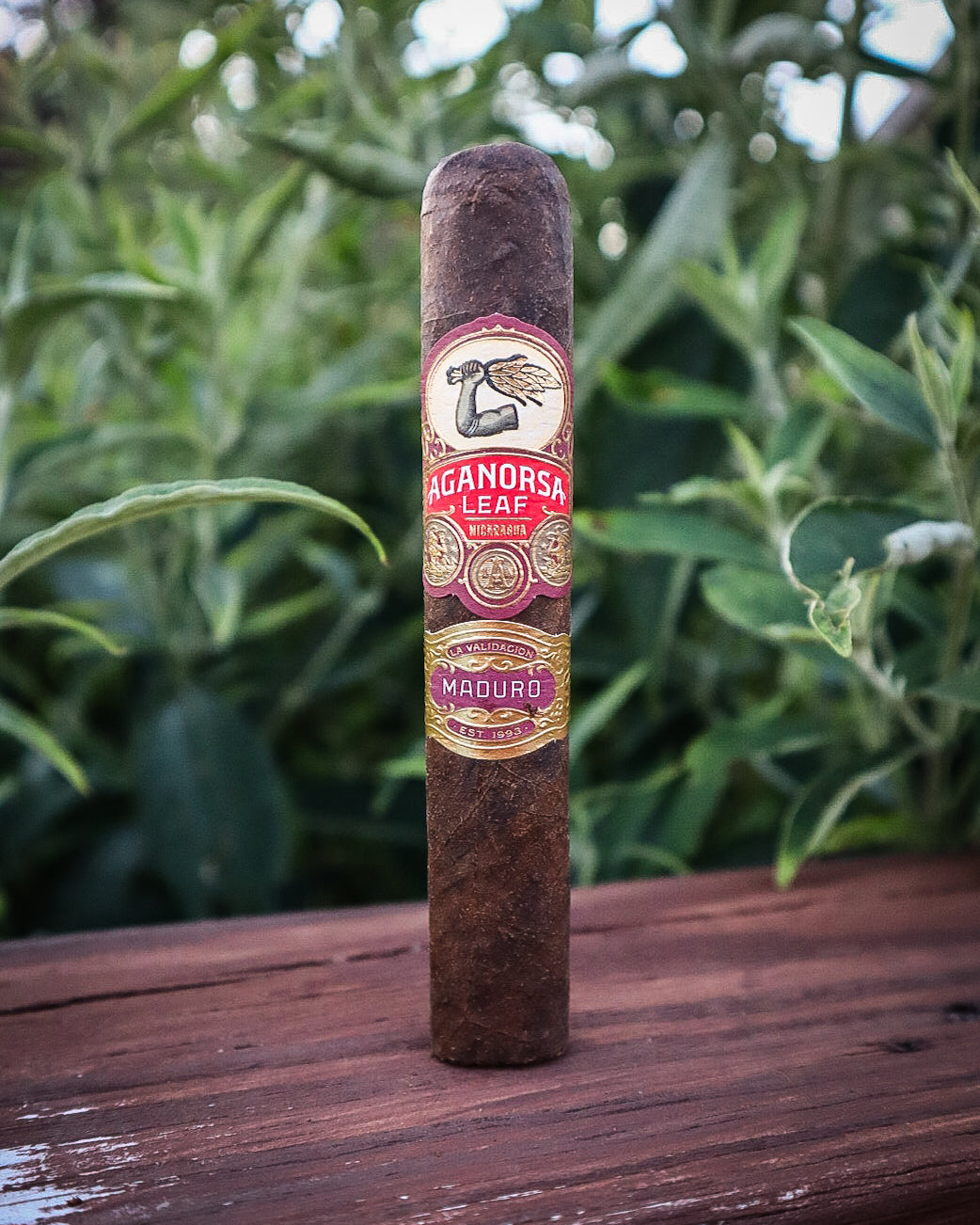 Aganorsa Leaf La Validacion Maduro