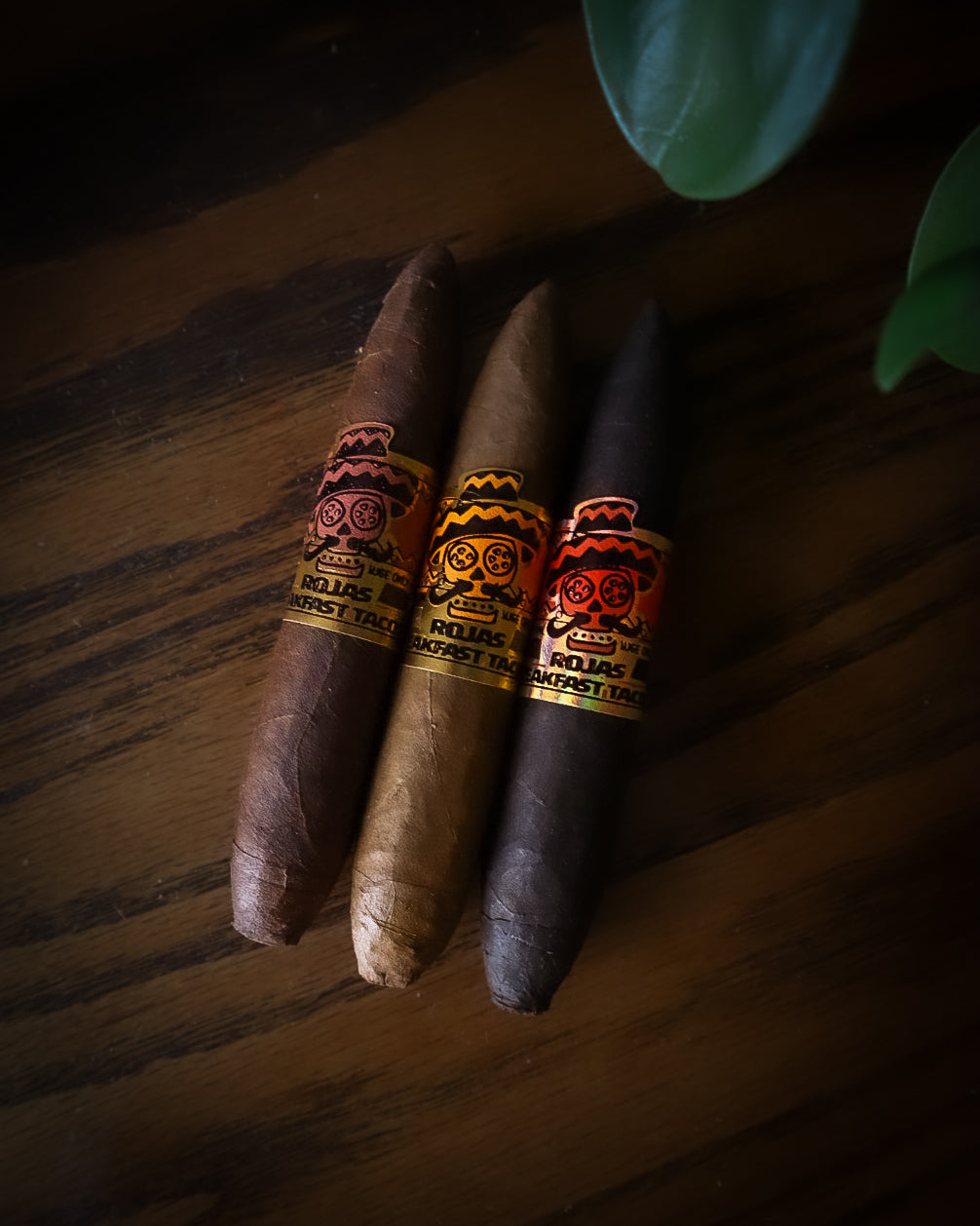 Rojas Cigars Breakfast Tacos