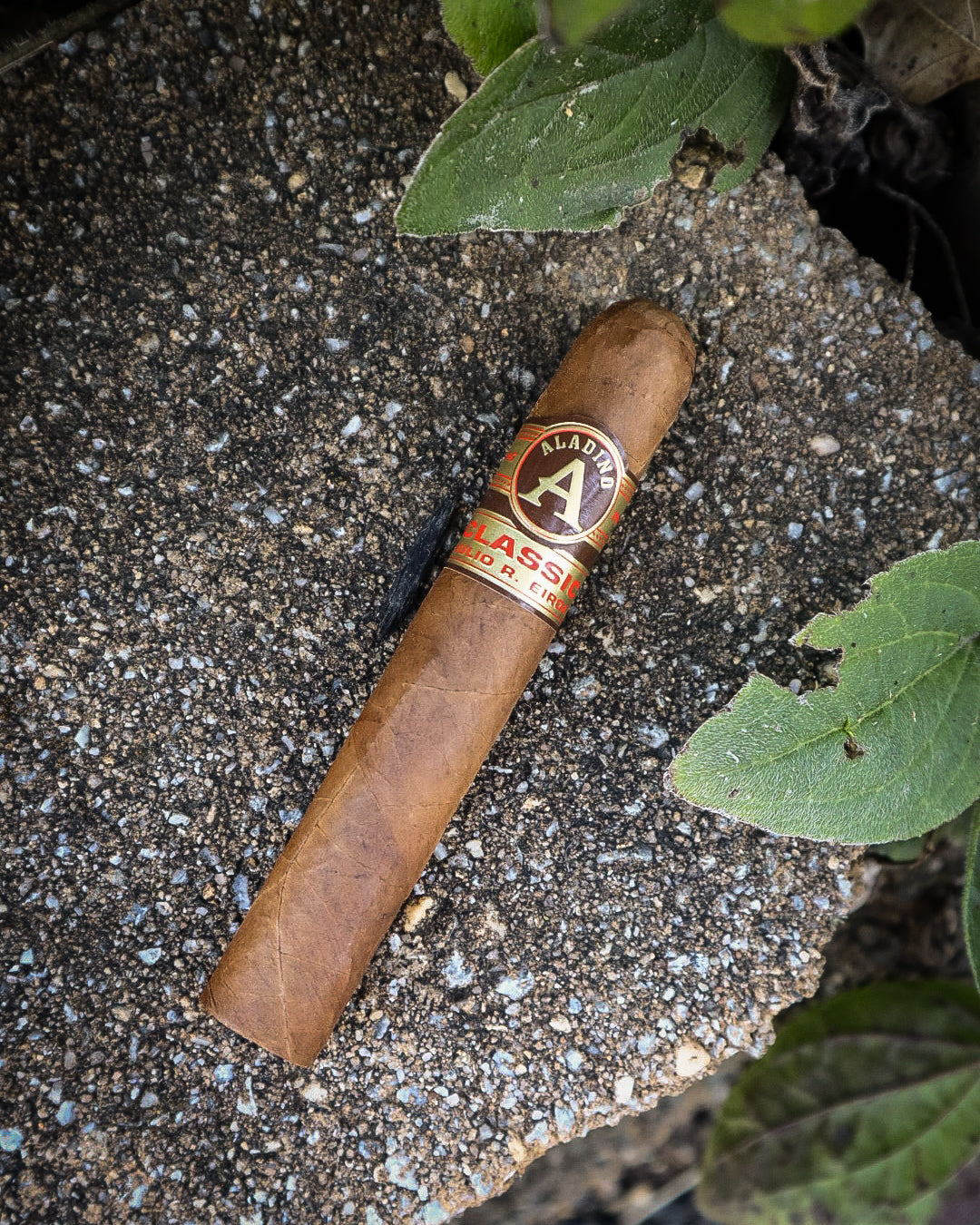 Aladino Cigars Classic