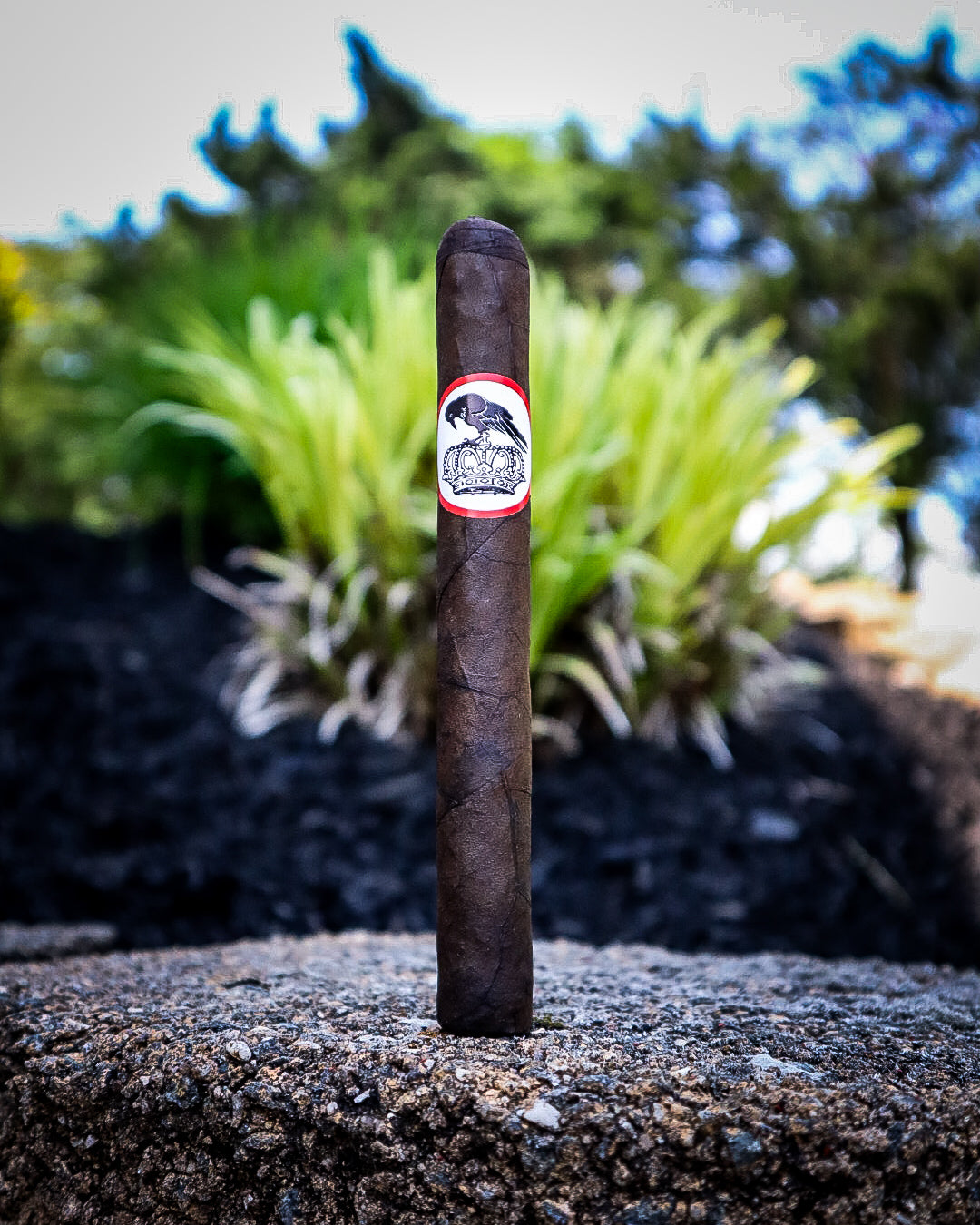 Stolen Throne Cigars Crook of the Crown 5th Anniversary