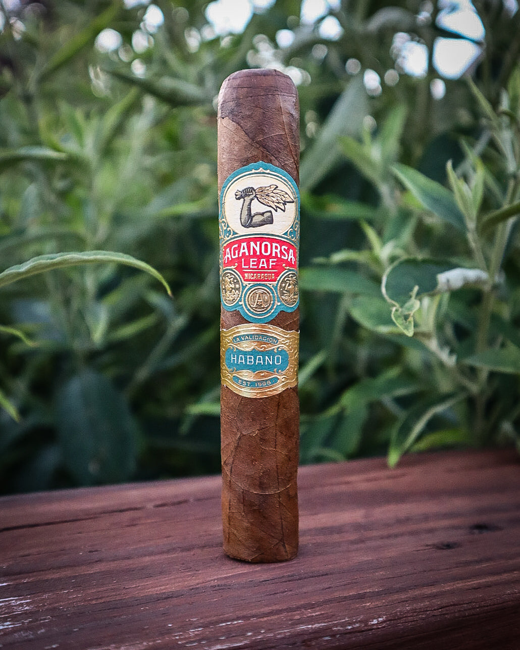 Aganorsa Leaf La Validacion Habano