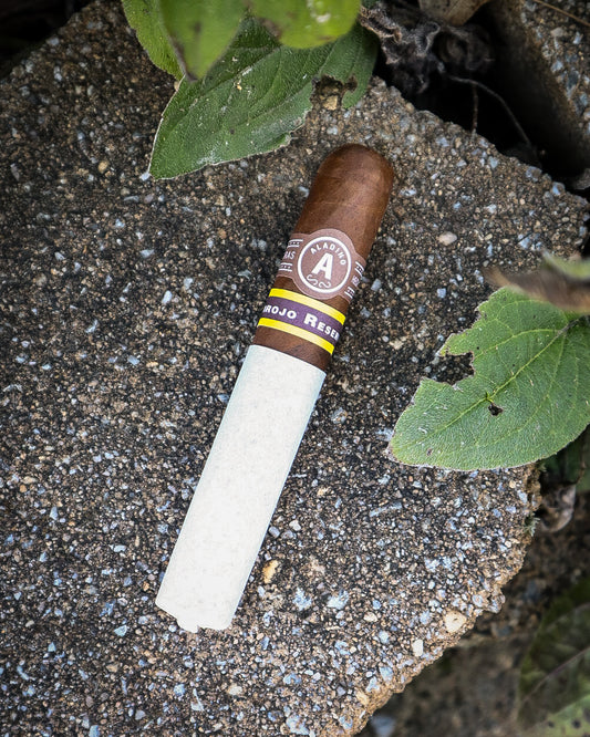 Aladino Cigars Corojo Reserva