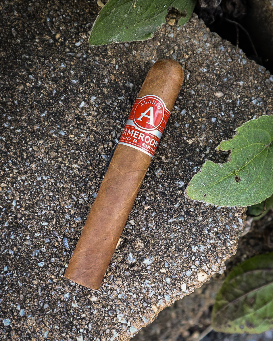 Aladino Cigars Cameroon