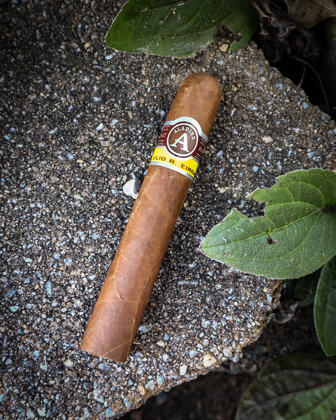 Aladino Cigars Corojo