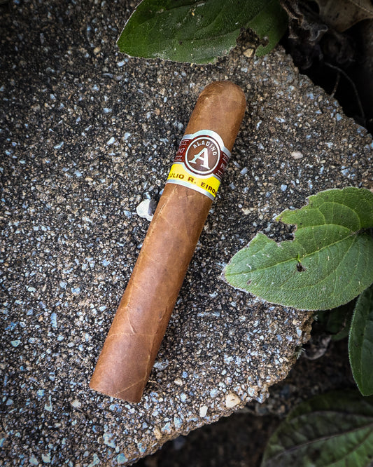 Aladino Cigars Corojo