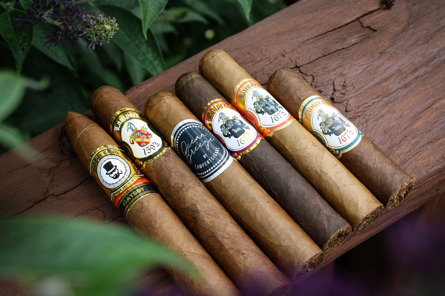 Lampert Cigars Sampler